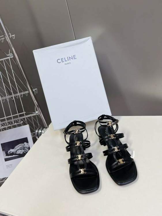 Picture of Celine Shoes _SKUCELINEsz35-40XJ05082178